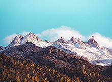 开云体育APP下载：开启专属体育娱乐新纪元